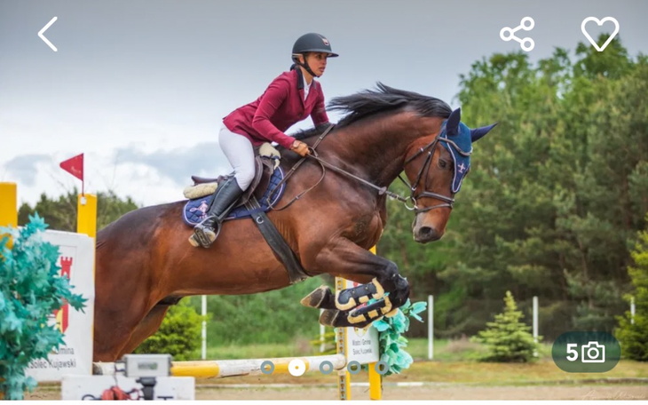Zbiórka Zbieram na konia skokowego - zdjęcie główne