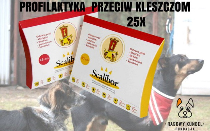 Zbiórka Przeciw kleszczom i komarom - zdjęcie główne