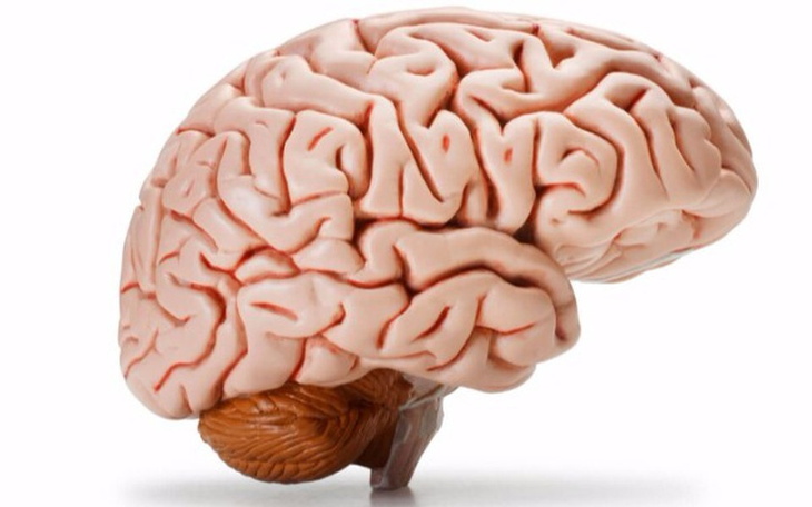 Zbiórka Muzk - zdjęcie główne