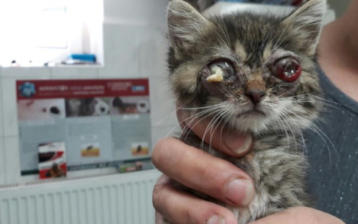 Zbiórka Nigdy nie zobaczy światła! - zdjęcie główne