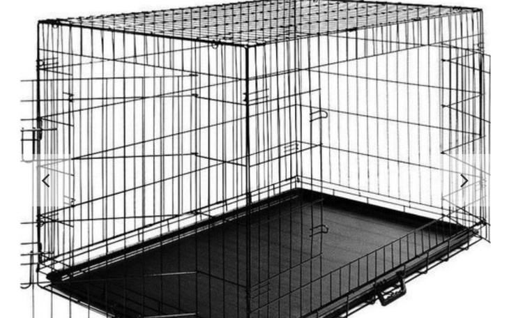 Zbiórka Na klatki kenel dla kociaków - zdjęcie główne