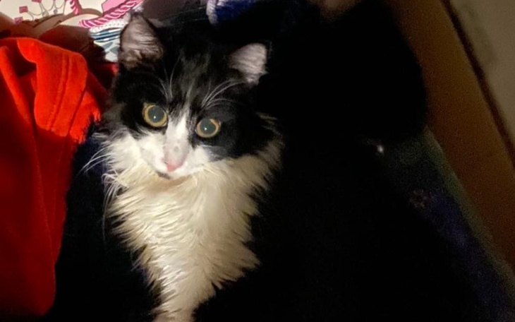 Zbiórka WalkaArii - zdjęcie główne