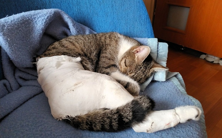 Zbiórka Zabieg dla Lenki - zdjęcie główne