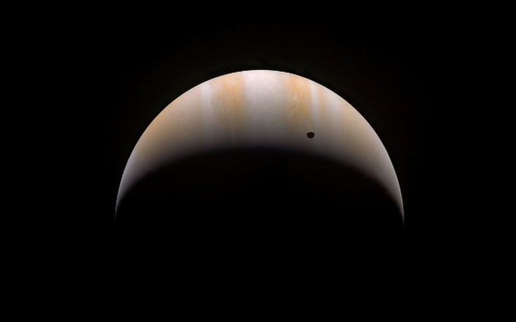 Zbiórka Spłata długów przez głupotę. - zdjęcie główne