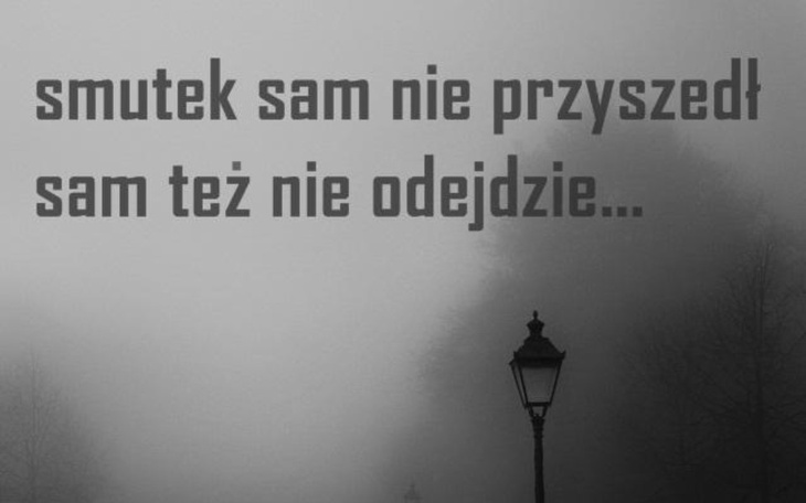 Zbiórka Pomoż mi odszukać własne miejsce - zdjęcie główne