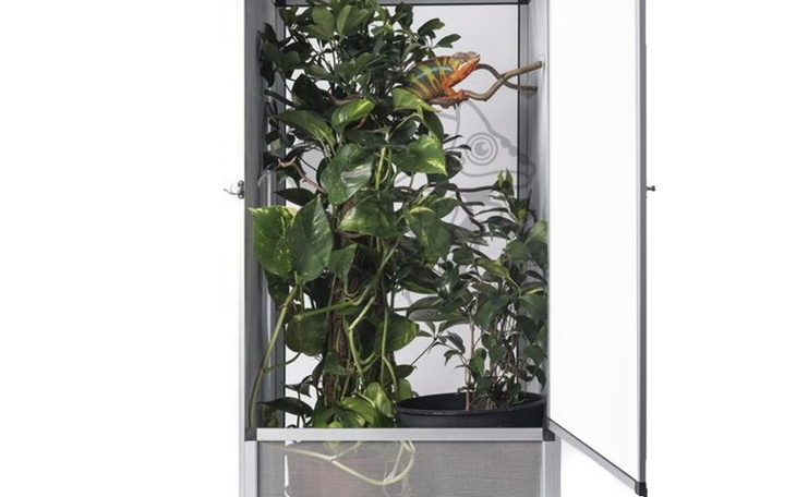 Zbiórka Na terrarium dla kameleona - zdjęcie główne