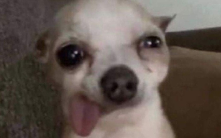 Zbiórka zbieram na vr kochani - zdjęcie główne