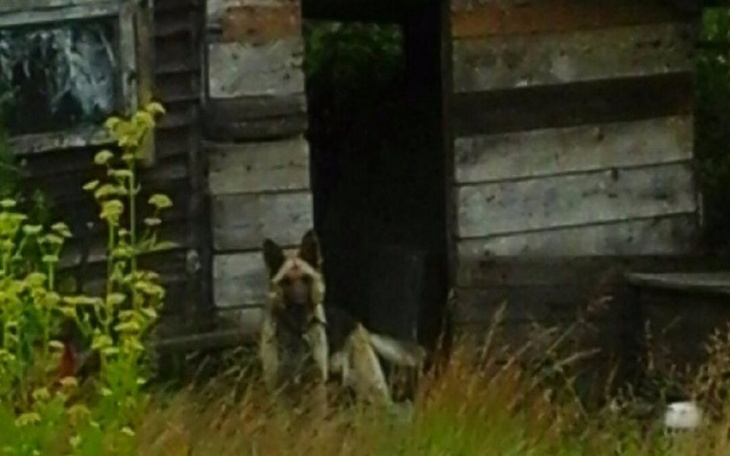 Zbiórka Wyjechali, zostawili.... - zdjęcie główne