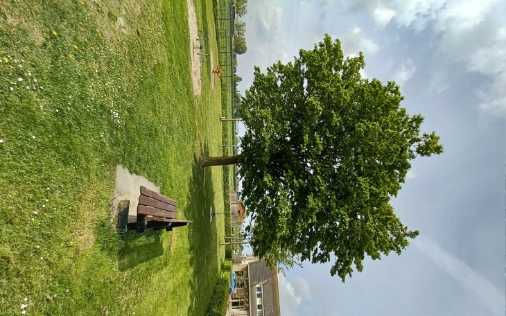 Zbiórka Dla potrzebujących na raka - zdjęcie główne