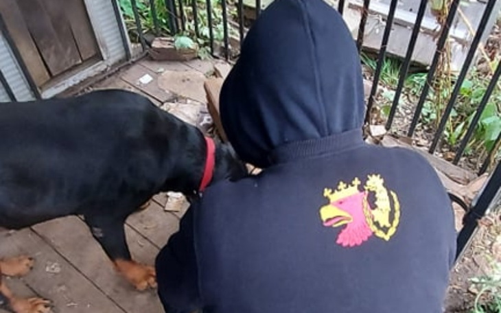 Zbiórka Policka Paka dla zwierzaka - zdjęcie główne