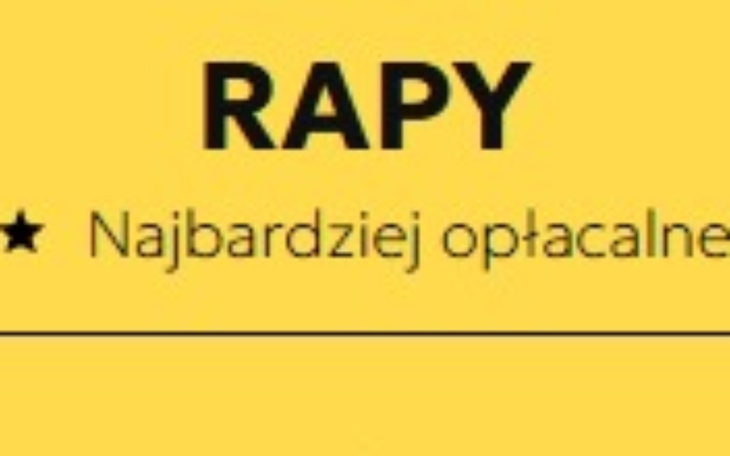 Pies w ogrodzie, czekający na swojego właściciela.