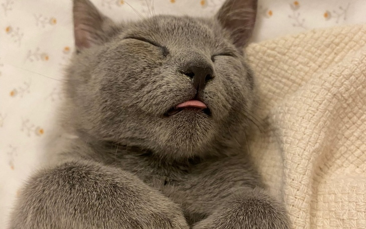 Zbiórka mały Peru - ogromny problem - zdjęcie główne