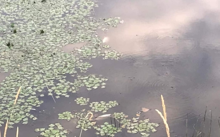 Zbiórka Pomóżmy naszej Odrze odżyć - zdjęcie główne
