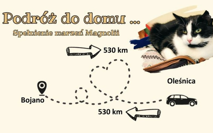 Zbiórka Podróż do domu... - zdjęcie główne