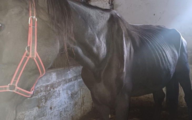 Zbiórka Pomóż uratować dwa życia - zdjęcie główne