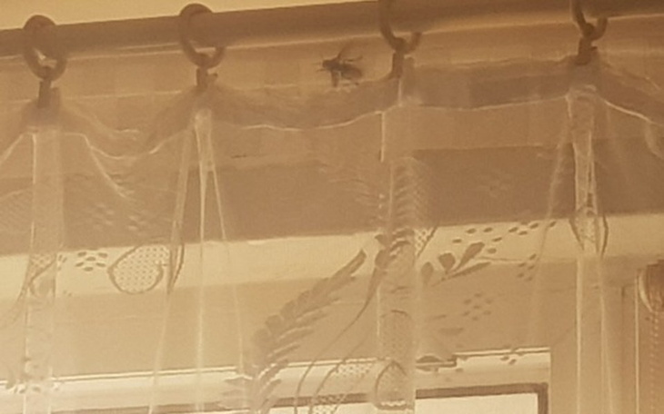 Zbiórka Stop exmisji - zdjęcie główne