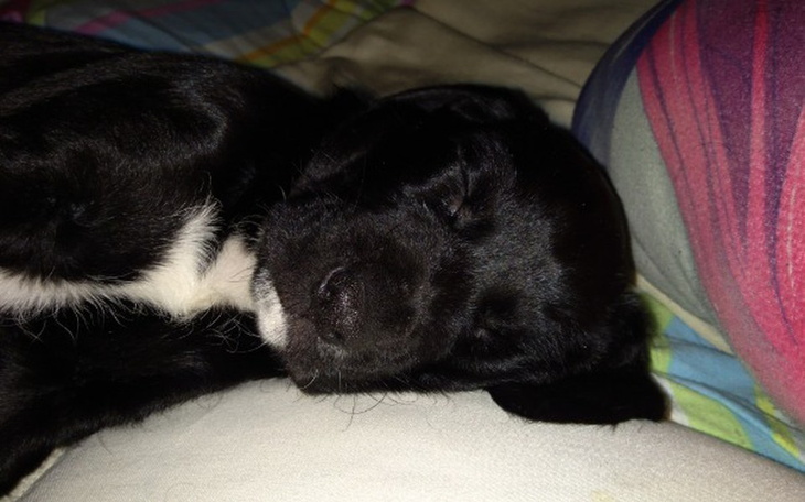 Zbiórka 😁 - zdjęcie główne