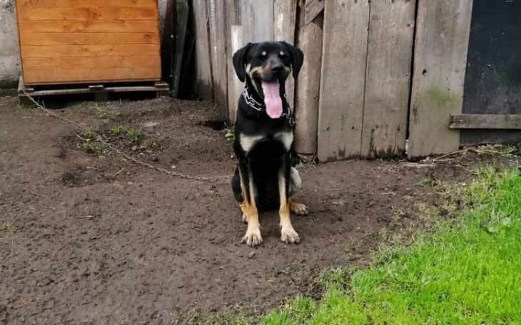 Zbiórka Max z łańcucha uczy się życia - zdjęcie główne