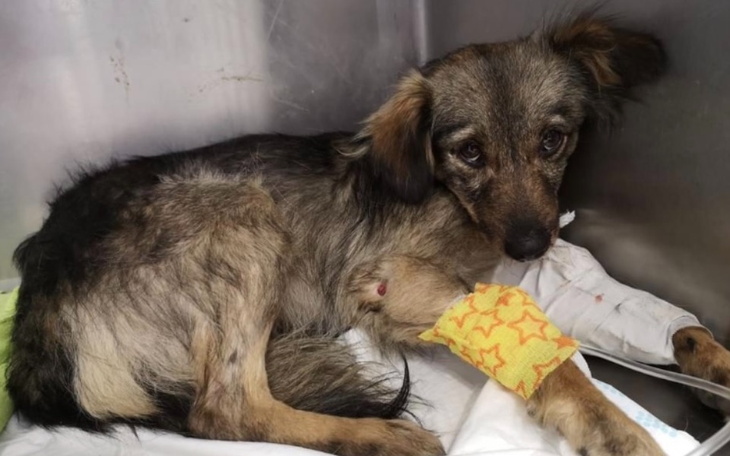 Zbiórka Operacja Metki - zdjęcie główne