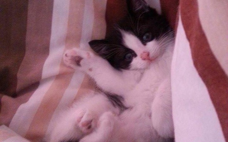 Zbiórka Bym mógł znów chodzić i biegać - zdjęcie główne