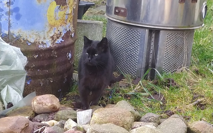 Zbiórka Stop rozmnażaniu na działkach - zdjęcie główne