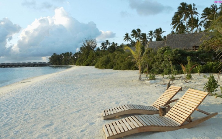 Zbiórka Wakacje dla rodziców - zdjęcie główne