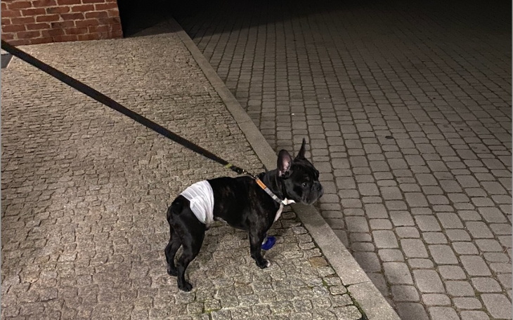 Zbiórka Na pilne leczenie Leonka - zdjęcie główne