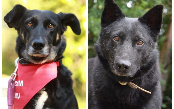 Zbiórka Dzikusy z giełdy znów zapomniane - zdjęcie główne