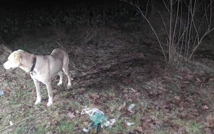 Zbiórka Wyrzucona skazana na śmierć - zdjęcie główne