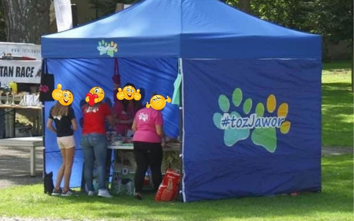 Zbiórka Daszek nad głową - zdjęcie główne