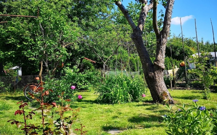 Zbiórka Działka ROD cześć kwoty - zdjęcie główne