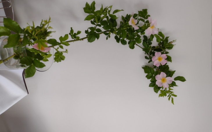 Zbiórka Być wolnym - zdjęcie główne