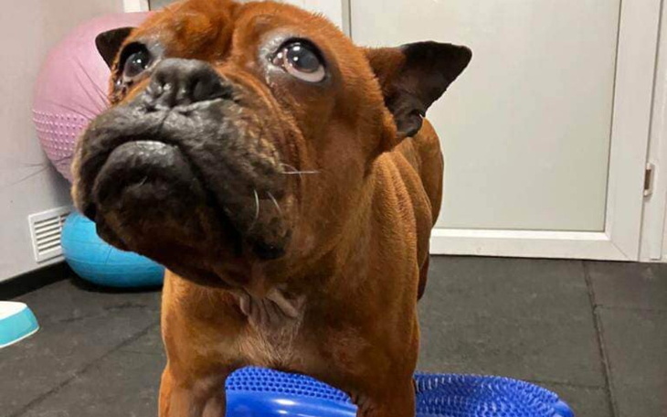 Zbiórka Rino- ostatnia prosta w leczeniu - zdjęcie główne