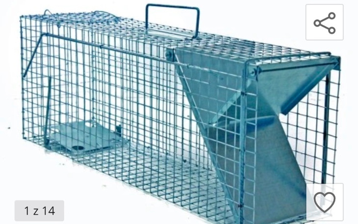 Pułapka na zwierzęta, metalowa i siatkowa.