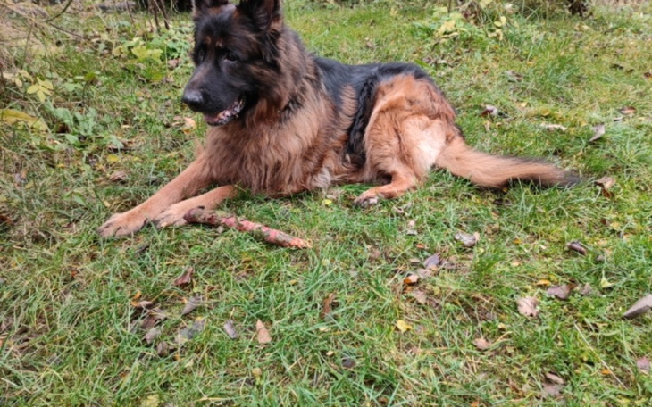 Zbiórka Na tomografię komputerowa dla ar - zdjęcie główne