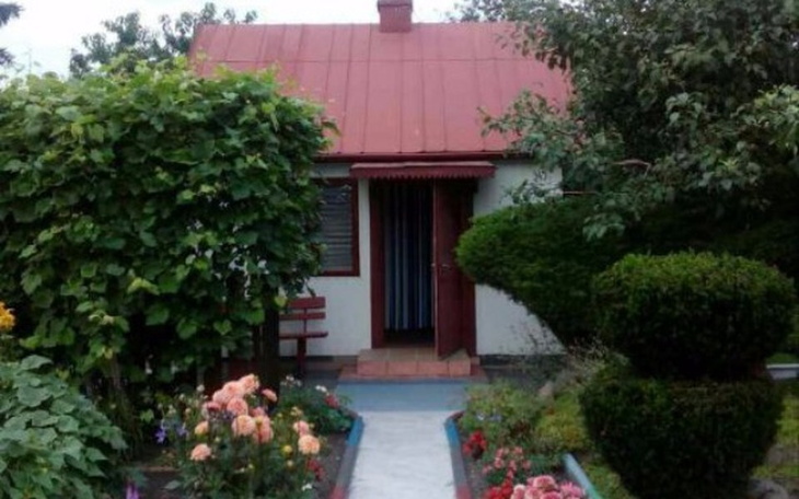 Zbiórka marzę o dzialce - zdjęcie główne