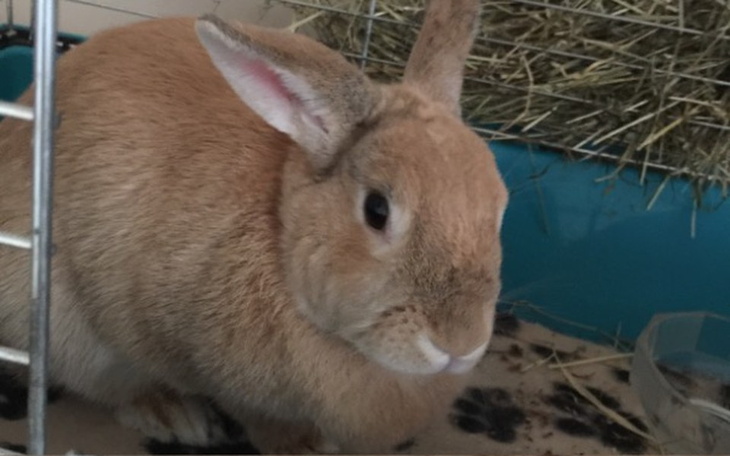 Zbiórka Pomóż wyjechać mi na wakacje! - zdjęcie główne