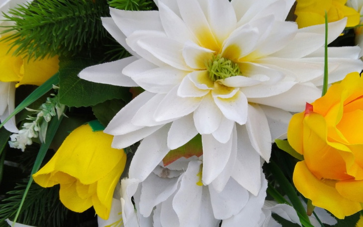 Zbiórka Walczę z wieloma chorobami - zdjęcie główne