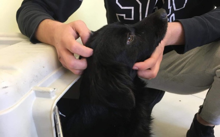 Zbiórka Nie ma czasu do stracenia, pomoż - zdjęcie główne