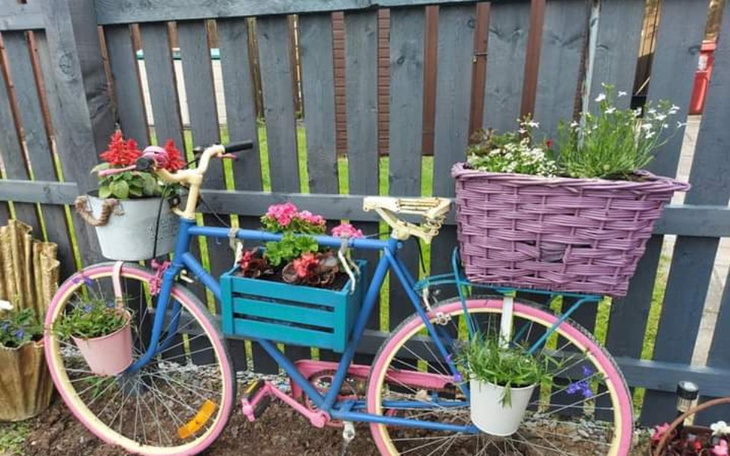 Zbiórka Proszę o pomoc...... - zdjęcie główne