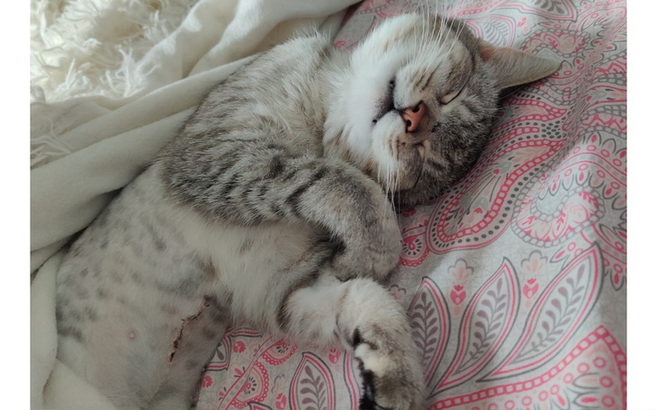 Zbiórka Spłata leczenia niewidomej Kenyi - zdjęcie główne