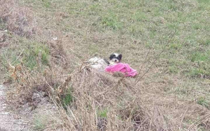 Zbiórka Podlaskie sierotki - zdjęcie główne