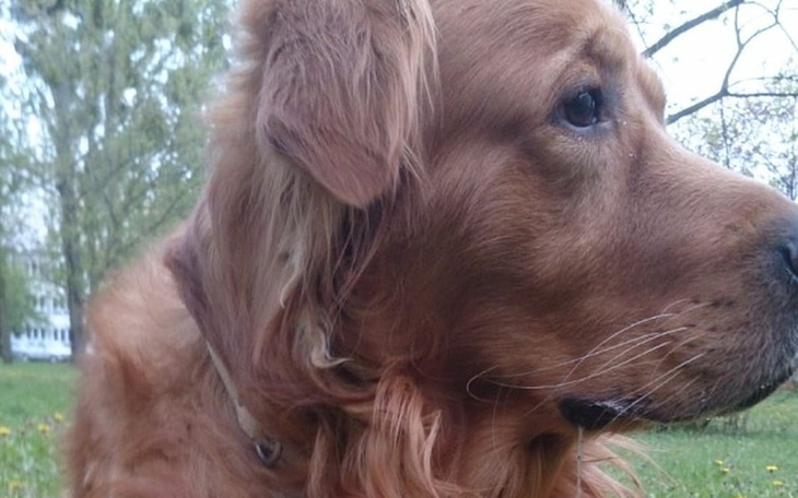 Zbiórka problemy finansowe po byłym - zdjęcie główne