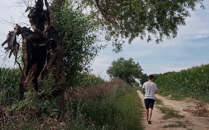 Zbiórka Tomik wierszy dla Jakuba - zdjęcie główne