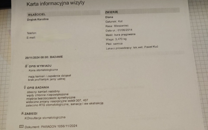 Dokument informacyjny dotyczący wizyty u weterynarza dla kota.