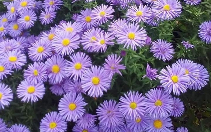 Zbiórka Zdarzenie losowe - zdjęcie główne