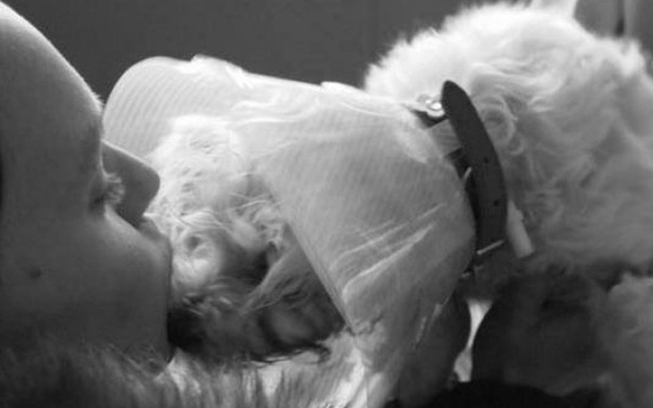 Zbiórka Pieski start w nowe życie! - zdjęcie główne