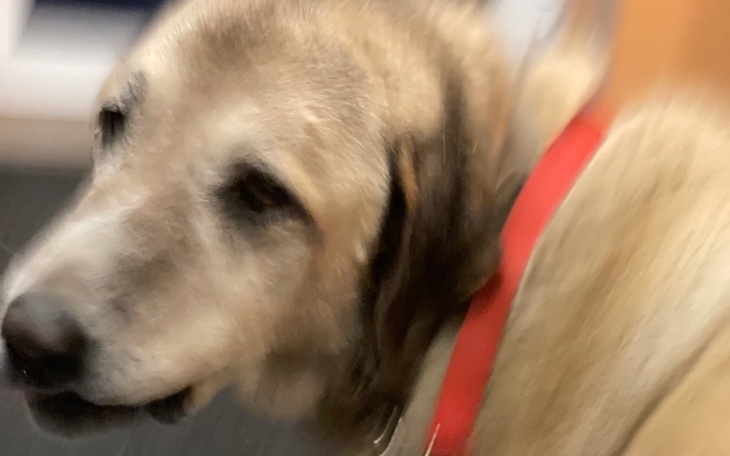 Zbiórka Karabasz - to koniec - zdjęcie główne