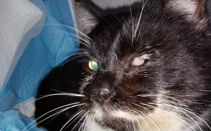 Zbiórka Spłata faktur w lecznicach - zdjęcie główne