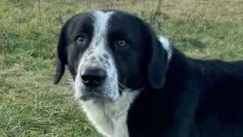 Zbiórka Życie dla Rema - miniaturka zdjęcia